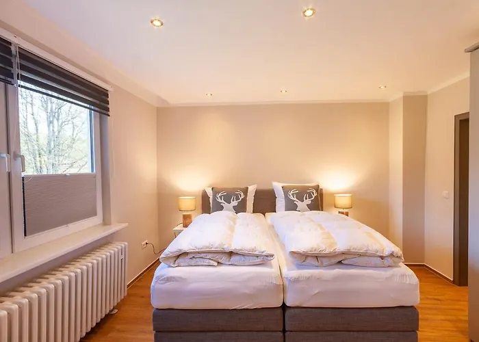 Waldfrieden 1 Mit Garten Und Grill Apartment Braunlage